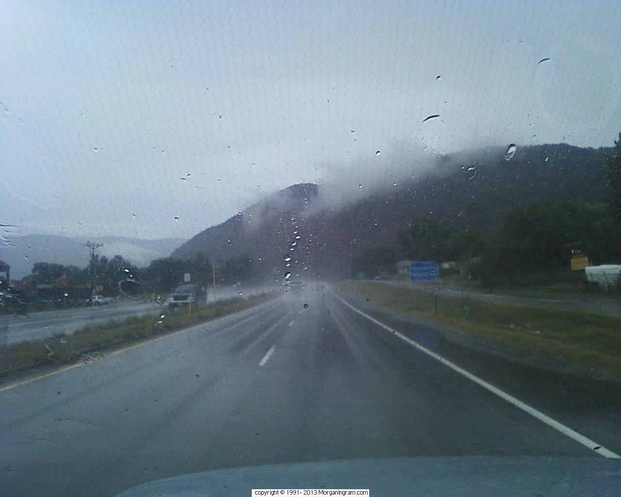 Jumping all over the place! Stalking